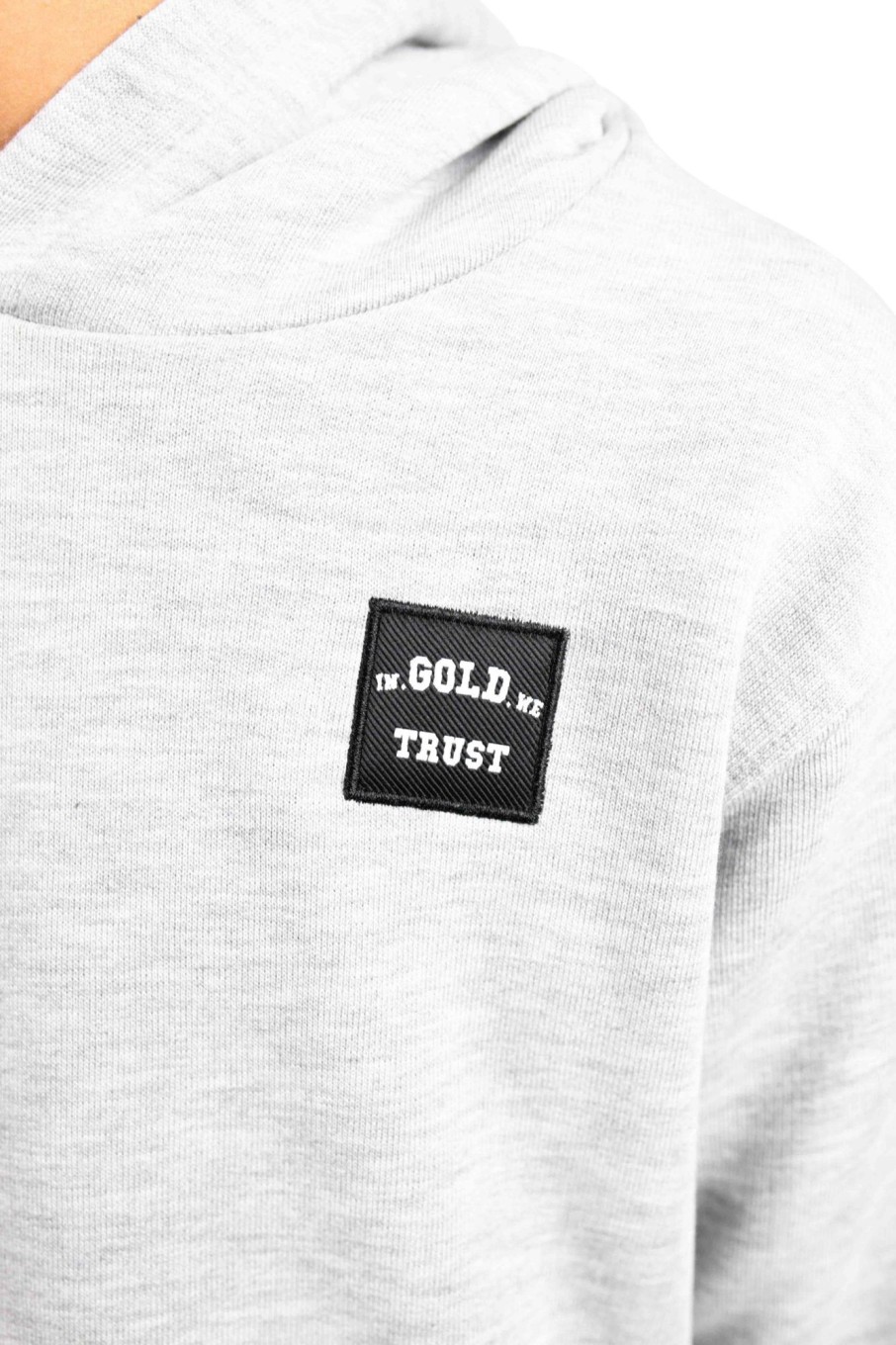 Kids In Gold We Trust Truien | In Gold We Trust Kids The Expension Grey Melange Grijs