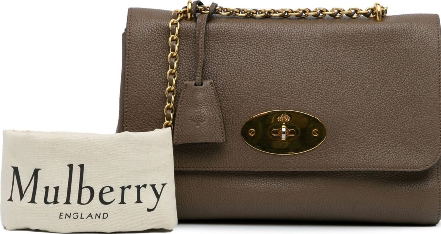 Dames Mulberry | Mulberry Medium Lily Crossbody Bag Bruin