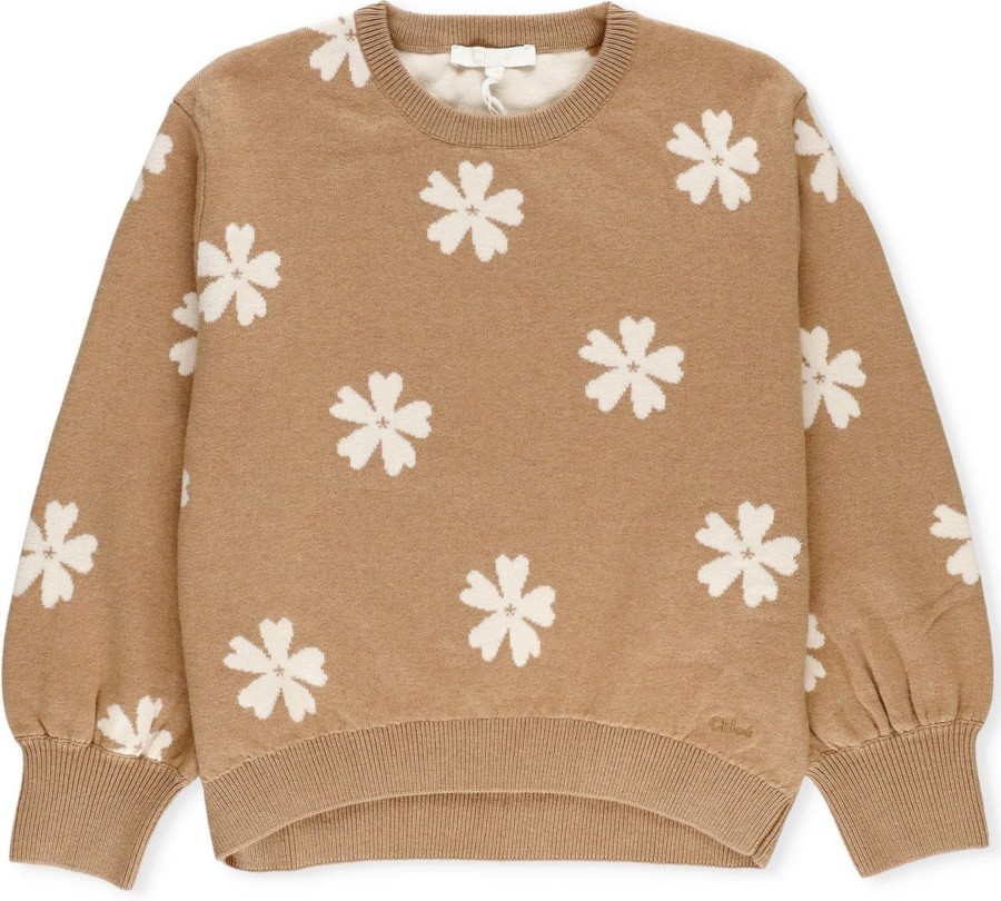 Kids Chloé Truien | Chloe Chloe Sweaters Brown Bruin