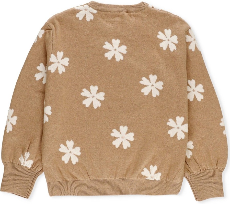 Kids Chloé Truien | Chloe Chloe Sweaters Brown Bruin