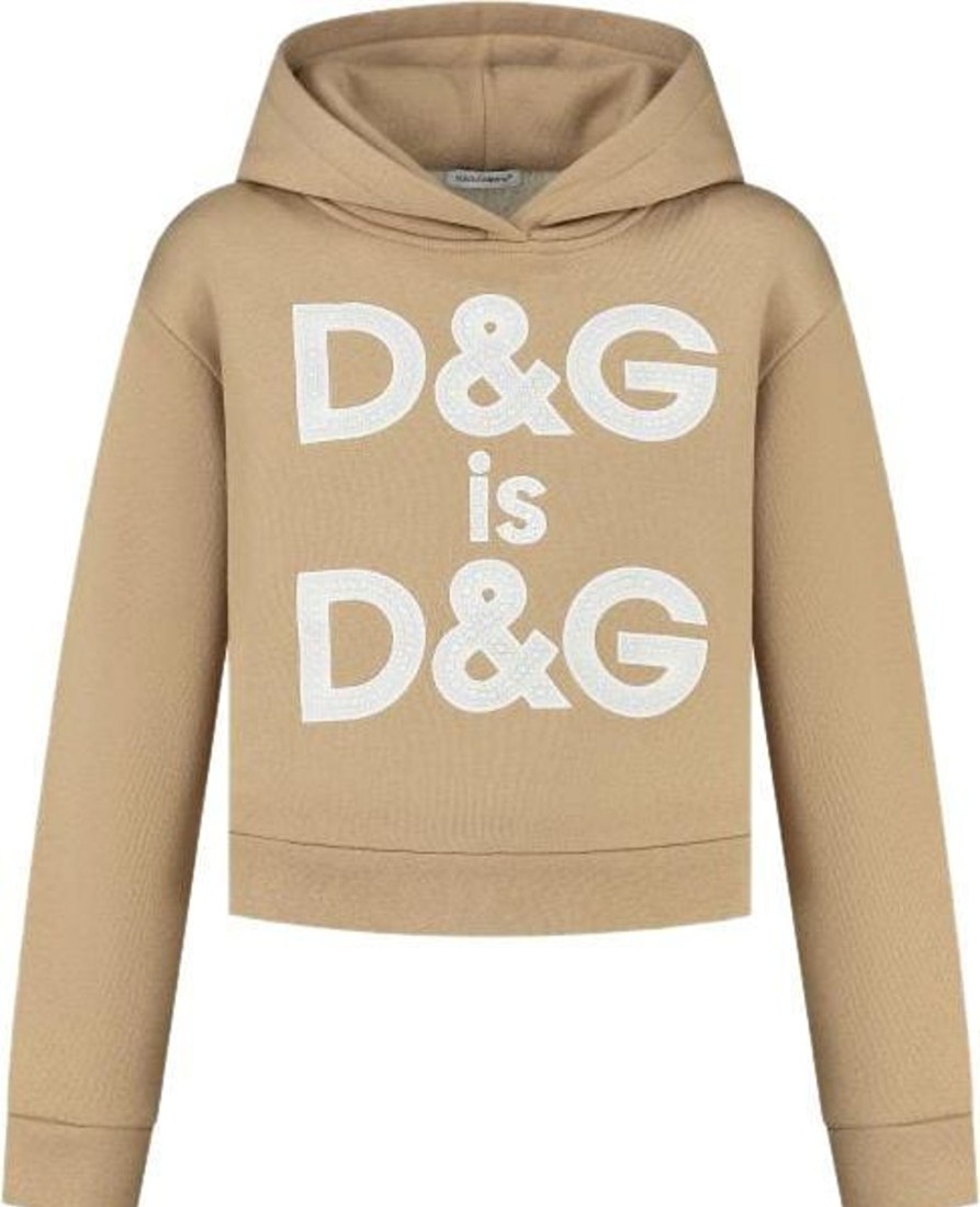 Kids Dolce & Gabbana Truien | Dolce & Gabbana Hooded Sweatshirt Beige