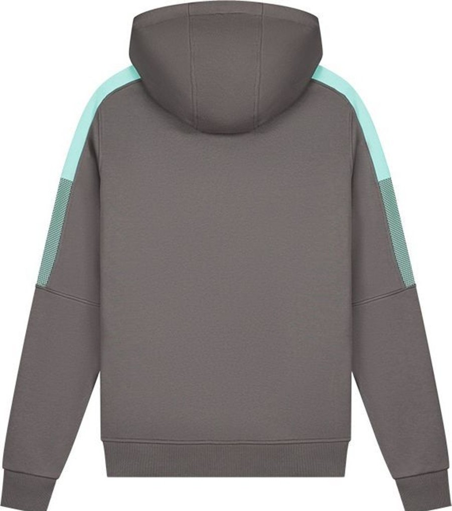 Heren Malelions | Malelions Sport Transfer Hoodie - Antra/Mint Grijs