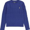 Kids Ralph Lauren Truien | Ralph Lauren Sweaters Blue Blauw