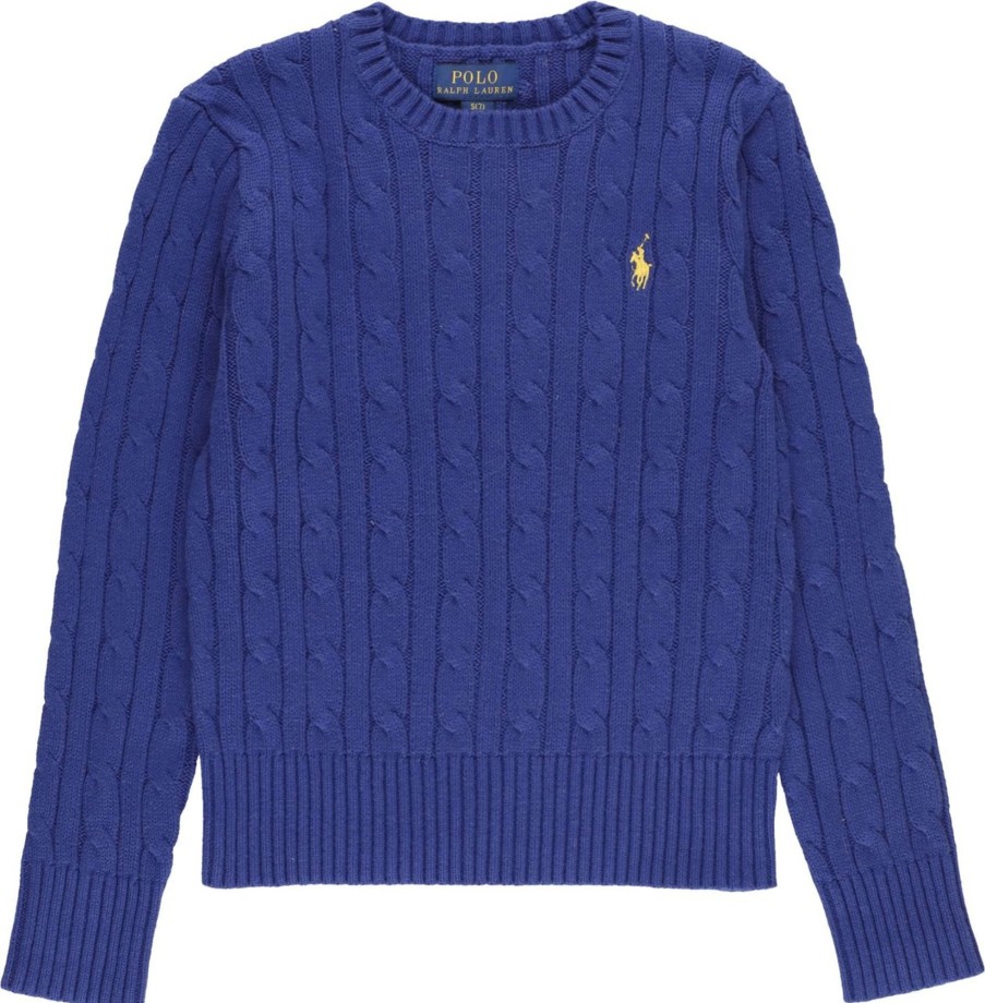 Kids Ralph Lauren Truien | Ralph Lauren Sweaters Blue Blauw