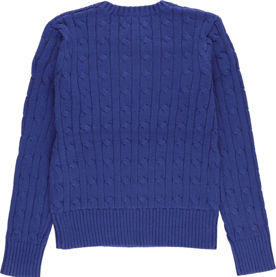 Kids Ralph Lauren Truien | Ralph Lauren Sweaters Blue Blauw