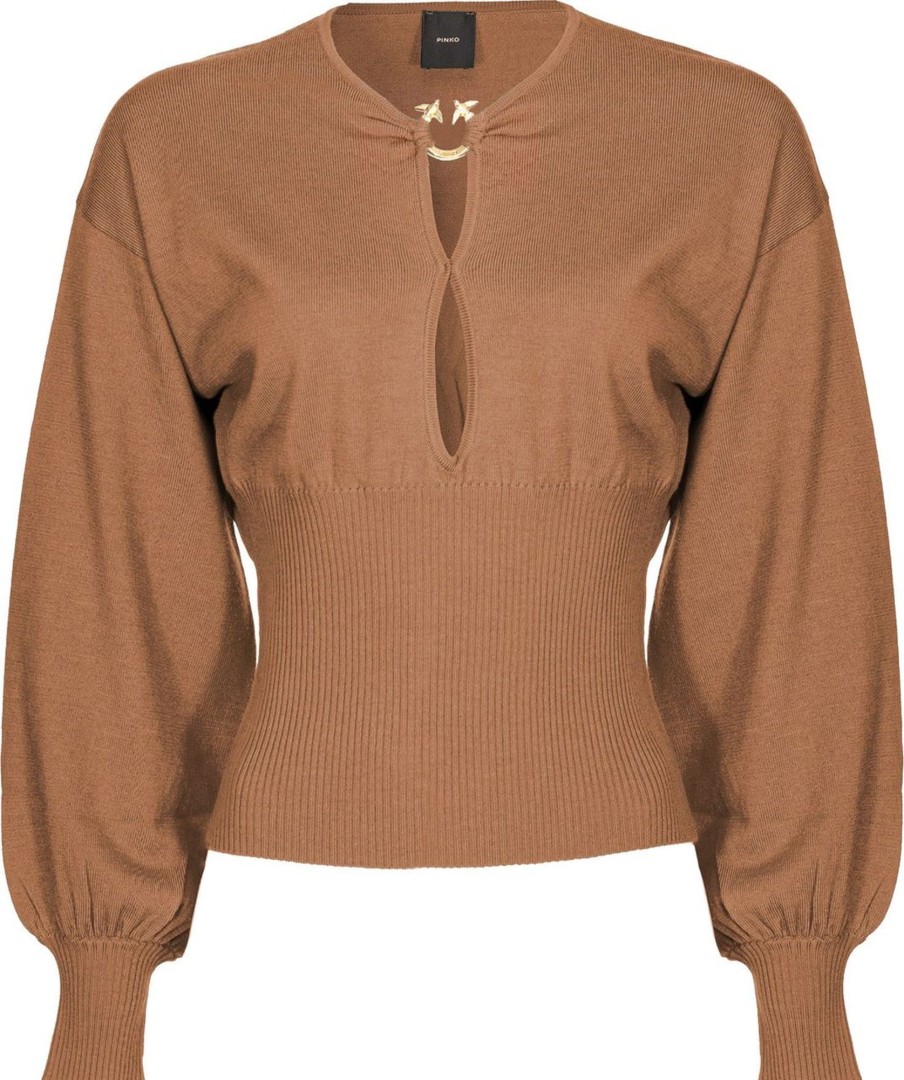 Dames Pinko | Pinko Sweaters Brown Bruin