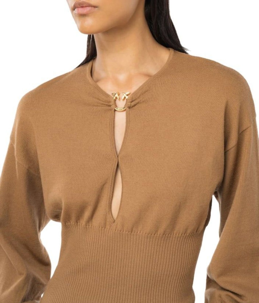 Dames Pinko | Pinko Sweaters Brown Bruin